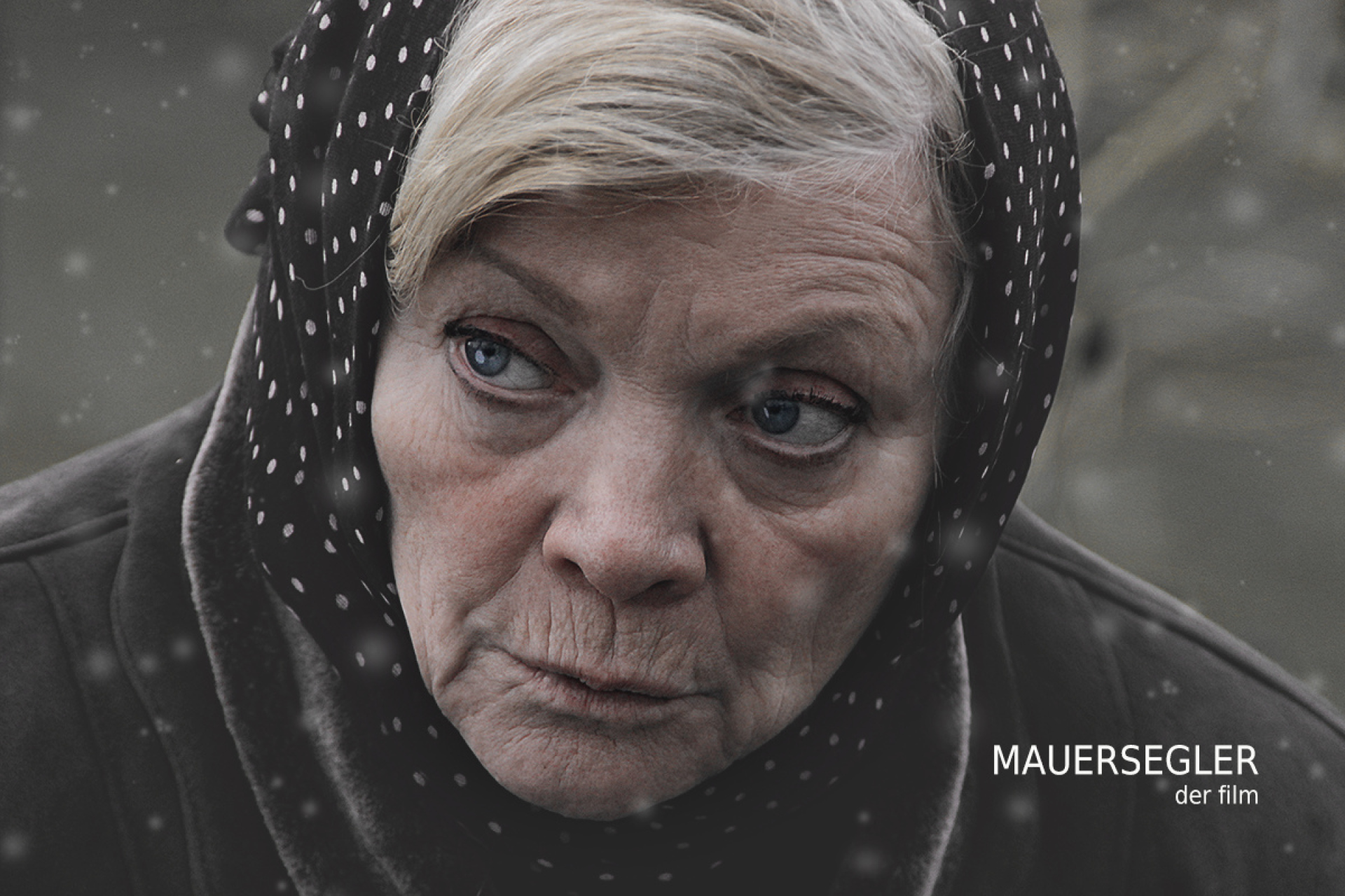Abbildung: Poster - Karin Ugowski Mauersegler Film